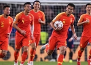 国际赛场中国队展现实力，斩获辉煌战绩的简单介绍